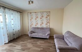Apartament 2 camere, 50 mp, zona strada Careiului 