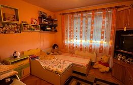 Apartament spațios cu 3 camere pe strada Closca
