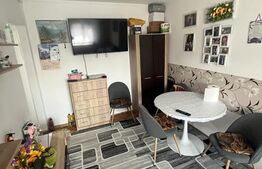 Apartament de vanzare, 47 mp , Zona Micro 14