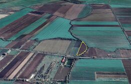 Teren extravilan | 10.800mp | Zona Botiz