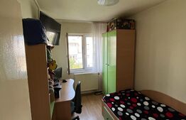 Apartament de vanzare , 40 mp, Zona Piata Somes 