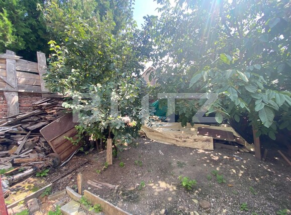 Casa de vânzare 6 camere Semicentral - 124114CV | BLITZ Satu Mare | Poza11