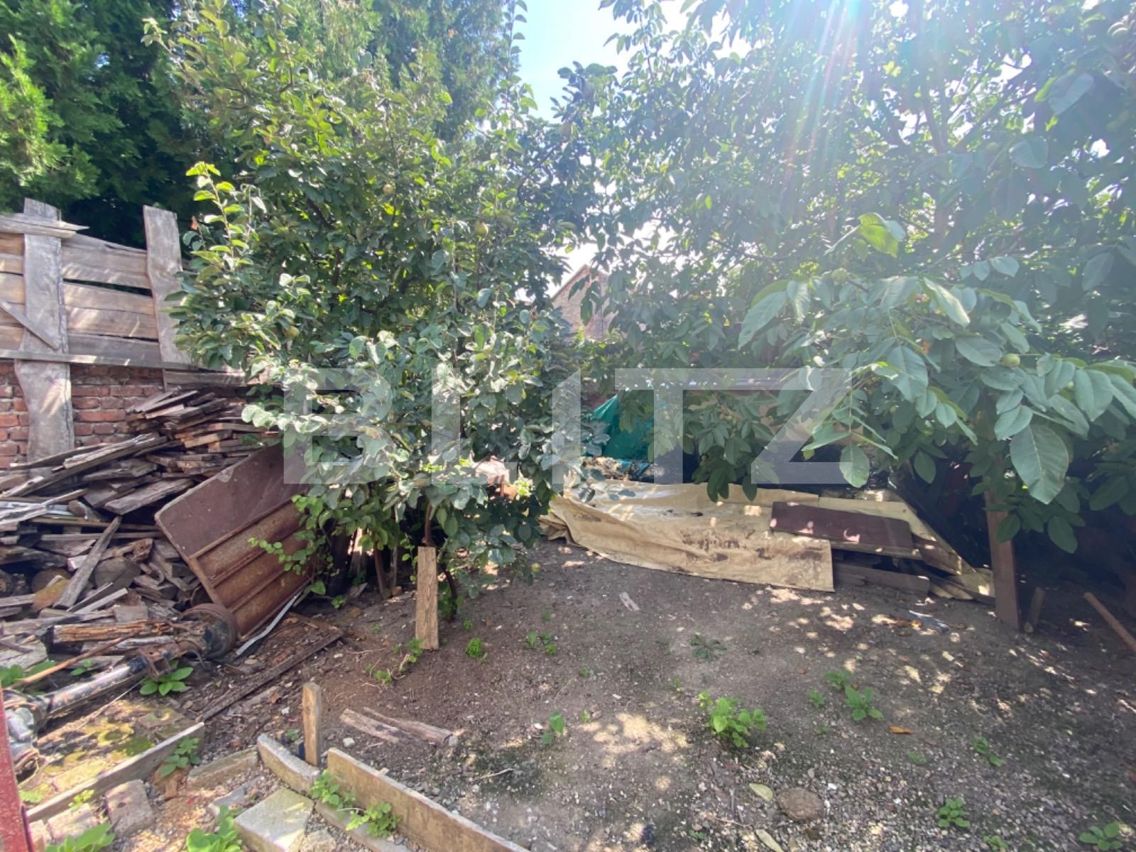 Casa de vânzare 6 camere Semicentral - 124114CV | BLITZ Satu Mare | Poza11