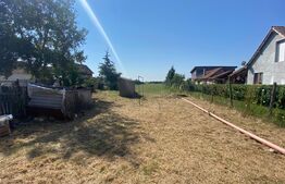 Casa cu 2 camere + 27 ari teren in Culciu Mic 