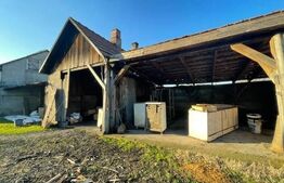 Două Case în aceeași Curte, Zona Petin