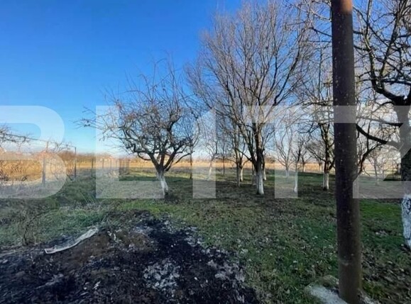 Casa de vânzare 5 camere Exterior Est - 124165CV | BLITZ Satu Mare | Poza7