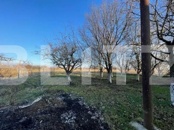 Casa de vânzare 5 camere Exterior Est - 124165CV | BLITZ Satu Mare | Poza7