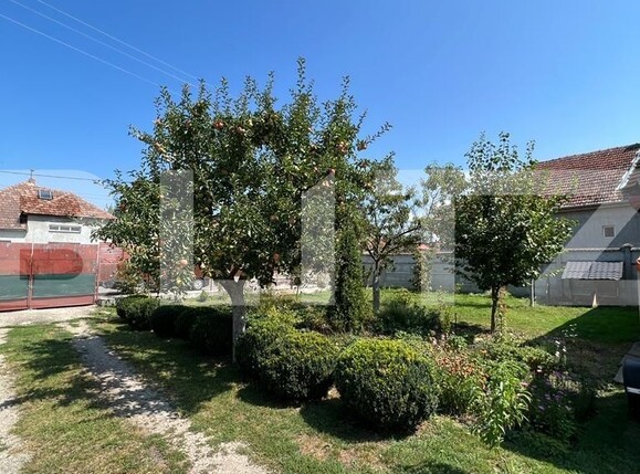 Casa de vânzare 2 camere Nord - 124180CV | BLITZ Satu Mare | Poza7