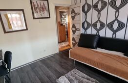Apartament 2 camere Botizului et.4/4
