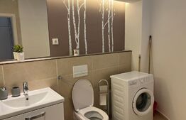 Apartament de Inchiriat - Stil și Eleganță în Zona Piața de Vechituri