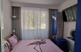 Apartament 3 camere,zona str.Careiului et.1/4