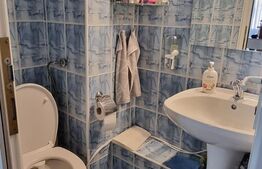 Apartament 3 camere,zona str.Careiului et.1/4