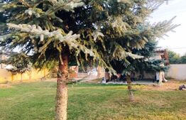 Casă în Csenger, Ungaria - la doar 20 km de Satu Mare