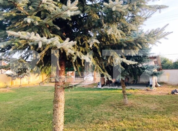 Casa de vânzare 2 camere Exterior Vest - 125175CV | BLITZ Satu Mare | Poza6