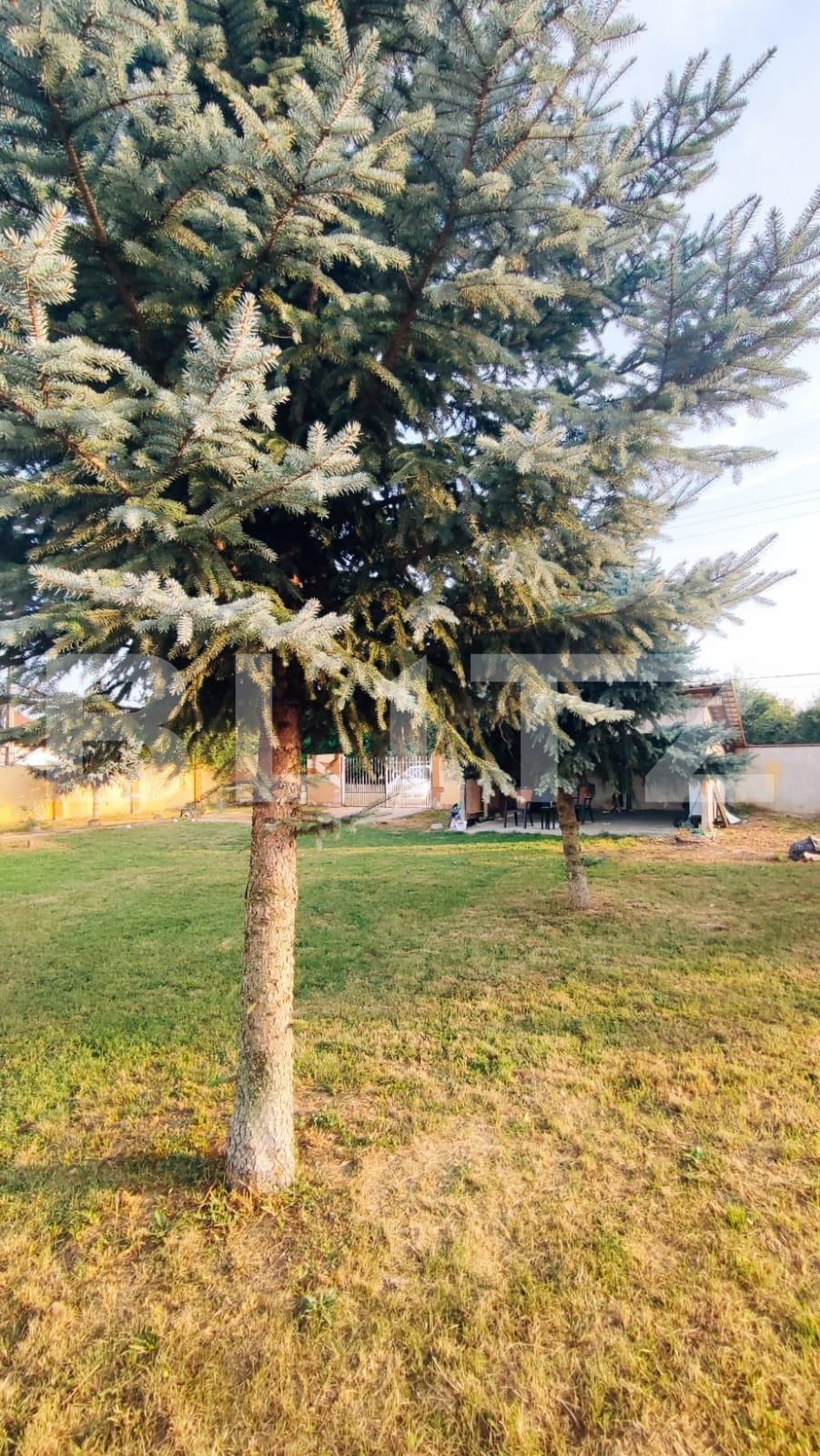 Casa de vânzare 2 camere Exterior Vest - 125175CV | BLITZ Satu Mare | Poza6