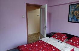 Apartament 3 camere, str.Careiului et.2/4