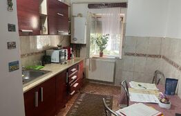 Apartament de vanzare| 55mp utili | Micro 17