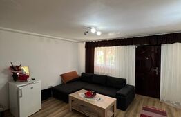 Casă deosebită pe strada Amatului