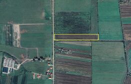 Teren extravilan de vanzare | 21.600mp | Lazuri