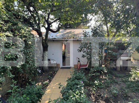 Casa de vânzare 5 camere Semicentral - 125583CV | BLITZ Satu Mare | Poza5