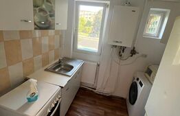 Apartament de vanzare , 34 mp , Zona Botizului 