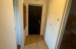 Apartament de vanzare , 34 mp , Zona Botizului 