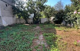 Casă de vânzare de tip D+P+1E+M în zona Gradina Romei