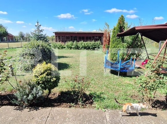 Casa de vânzare 4 camere Lucian Blaga - 125966CV | BLITZ Satu Mare | Poza15