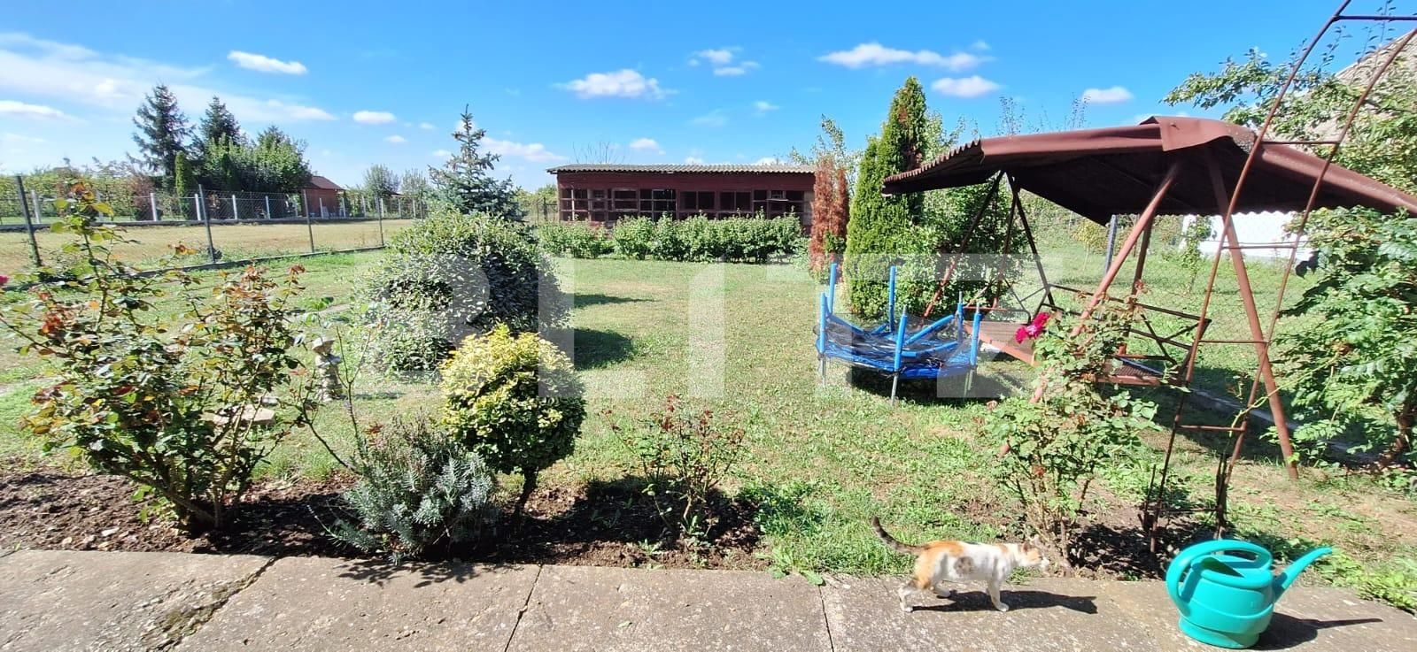 Casa de vânzare 4 camere Lucian Blaga - 125966CV | BLITZ Satu Mare | Poza15