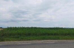 Teren Intravilan 45 de ari in Odoreu 