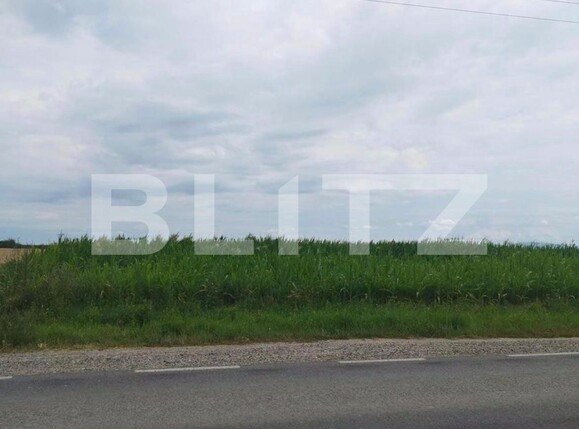 Teren de vânzare Periferie - 126010TV | BLITZ Satu Mare | Poza2