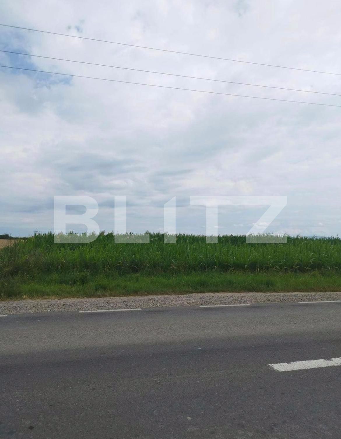 Teren de vânzare Periferie - 126010TV | BLITZ Satu Mare | Poza2