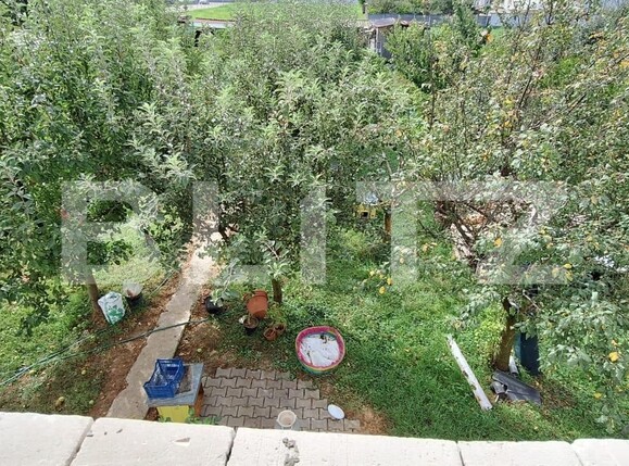 Casa de vânzare 4 camere Careiului - 126030CV | BLITZ Satu Mare | Poza10