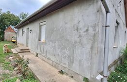 Casa de vanzare, 60 mp utili, zona Caraseu