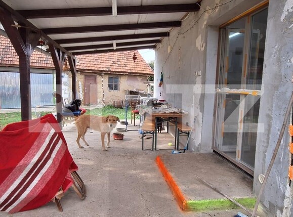 Casa de vânzare 3 camere Periferie - 126253CV | BLITZ Satu Mare | Poza12