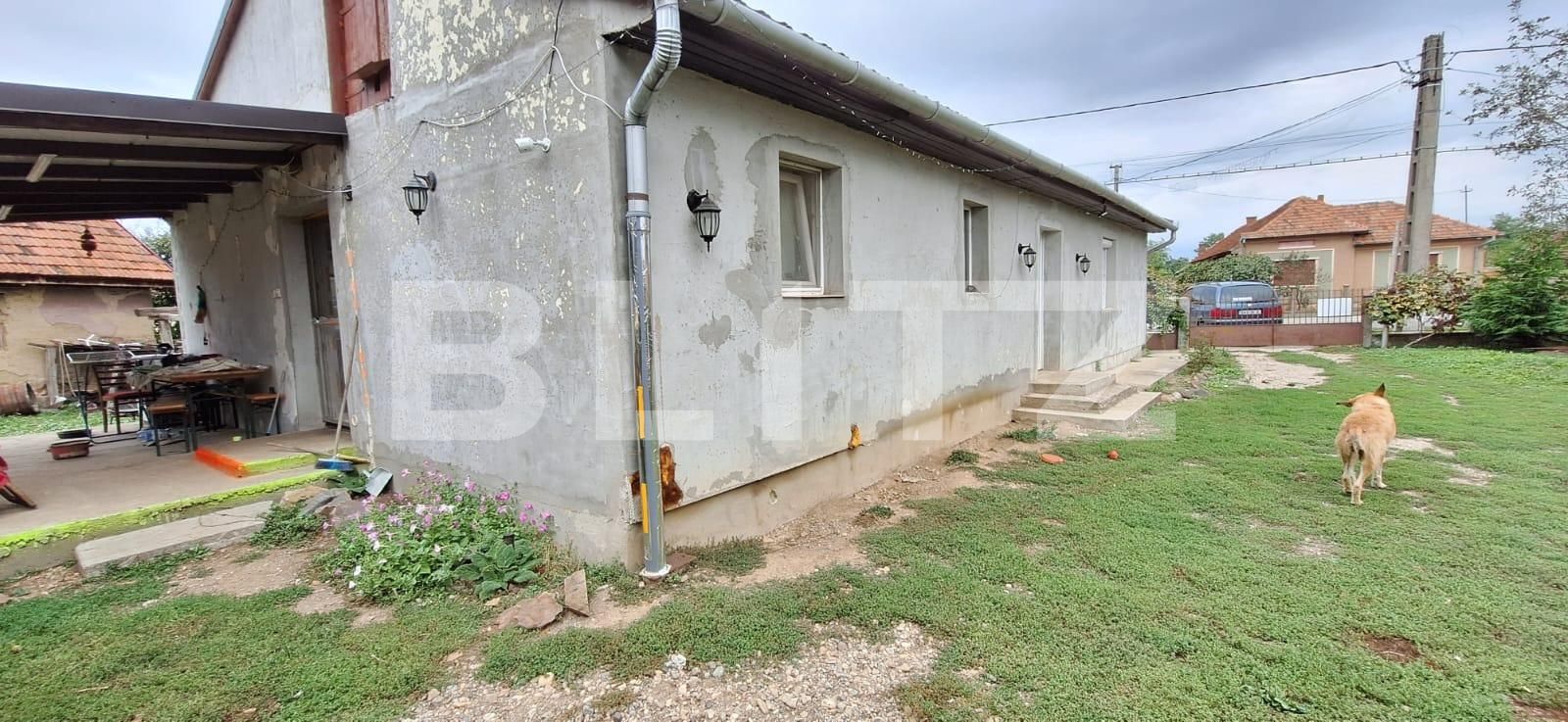 Casa de vânzare 3 camere Periferie - 126253CV | BLITZ Satu Mare | Poza13