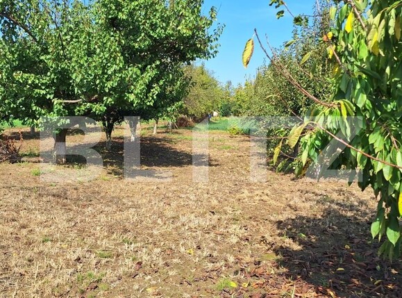 Teren de vânzare Paulesti - 126708TV | BLITZ Satu Mare | Poza1