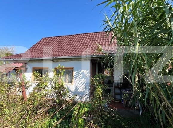 Casa de vânzare 2 camere Exterior Sud - 126875CV | BLITZ Satu Mare | Poza4