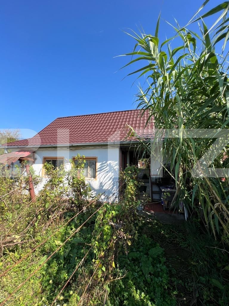Casa de vânzare 2 camere Exterior Sud - 126875CV | BLITZ Satu Mare | Poza4