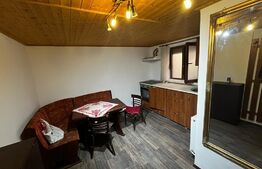 Apartament de vanzare , 33 mp , Zona Ultracentral 