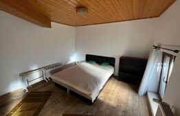 Apartament de vanzare , 33 mp , Zona Ultracentral 