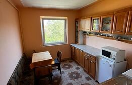 Apartament de vanzare , 26 mp , Zona Micro 14 