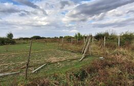 Teren extravilant, 1050 mp