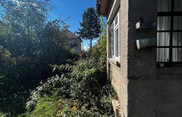 Casă Veche în Lazuri