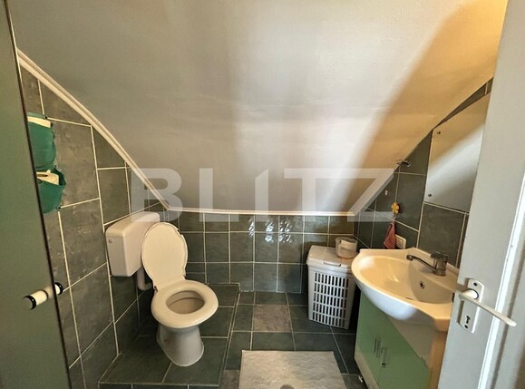 Casa de vânzare 4 camere Careiului - 127055CV | BLITZ Satu Mare | Poza15