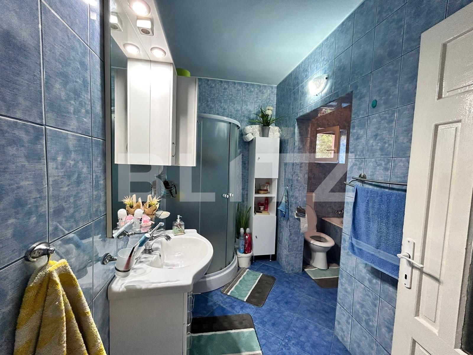 Casa de vânzare 4 camere Careiului - 127055CV | BLITZ Satu Mare | Poza10