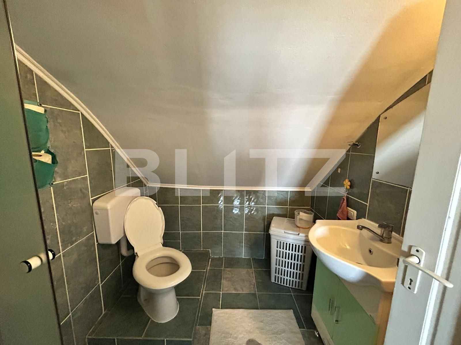 Casa de vânzare 4 camere Careiului - 127055CV | BLITZ Satu Mare | Poza15