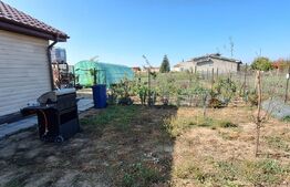 Casa de lemn in oras