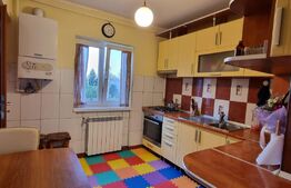 Apartament 3 camere,zona Botizului