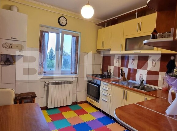 Apartament de vânzare 3 camere Botizului - 127233AV | BLITZ Satu Mare | Poza12